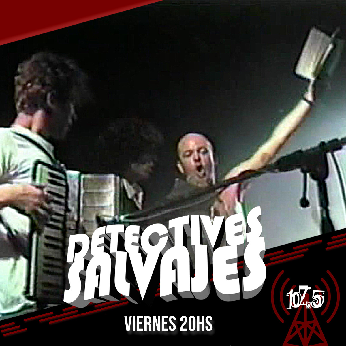 DETECTIVES SALVAJES